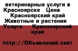 ветеринарные услуги в Красноярске › Цена ­ 1 - Красноярский край Животные и растения » Услуги   . Красноярский край